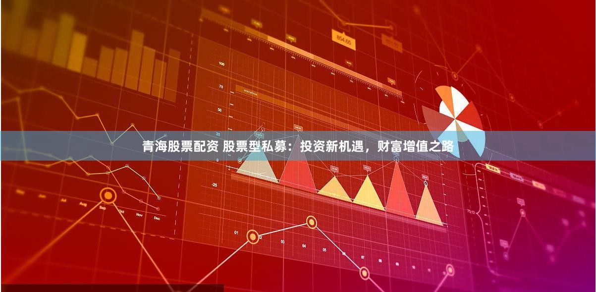青海股票配资 股票型私募：投资新机遇，财富增值之路