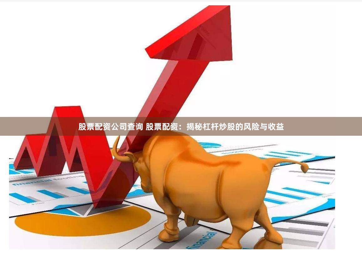 股票配资公司查询 股票配资：揭秘杠杆炒股的风险与收益