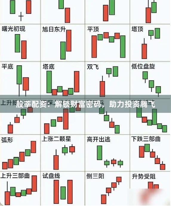 股莘配资：解锁财富密码，助力投资腾飞