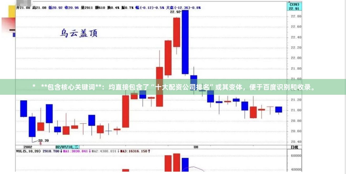 *   **包含核心关键词**：均直接包含了“十大配资公司排名”或其变体，便于百度识别和收录。